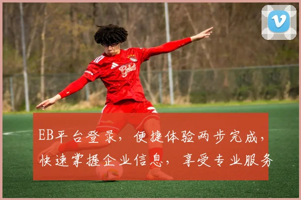 EB平台登录，便捷体验两步完成，快速掌握企业信息，享受专业服务
