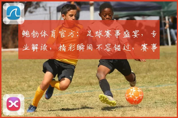 鲍勃体育官方：足球赛事盛宴，专业解读，精彩瞬间不容错过，赛事直播，尽在鲍勃体育