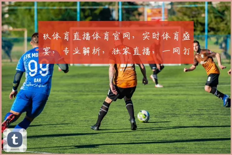 玖体育直播体育官网，实时体育盛宴，专业解析，独家直播，一网打尽