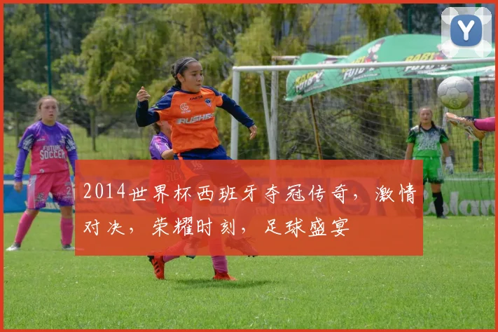 2014世界杯西班牙夺冠传奇，激情对决，荣耀时刻，足球盛宴